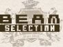 beam selection